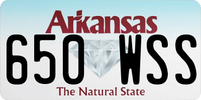 AR license plate 650WSS