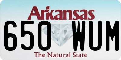 AR license plate 650WUM