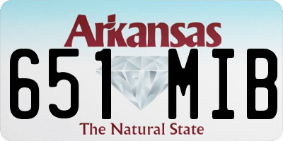 AR license plate 651MIB