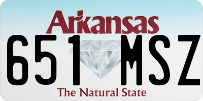 AR license plate 651MSZ