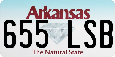 AR license plate 655LSB