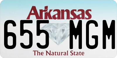 AR license plate 655MGM