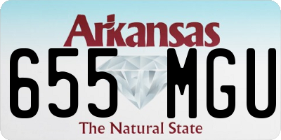 AR license plate 655MGU