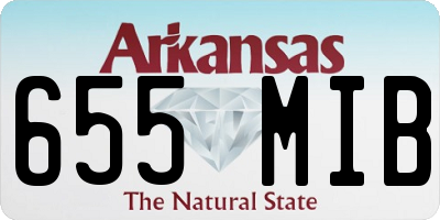 AR license plate 655MIB