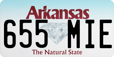 AR license plate 655MIE