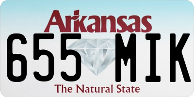 AR license plate 655MIK