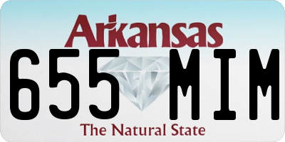 AR license plate 655MIM