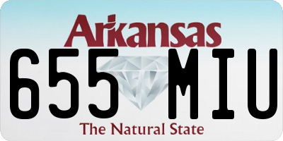 AR license plate 655MIU