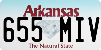 AR license plate 655MIV