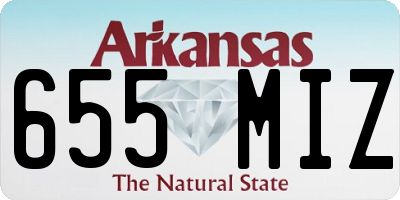 AR license plate 655MIZ