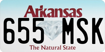 AR license plate 655MSK