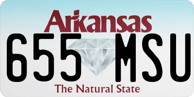 AR license plate 655MSU