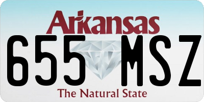 AR license plate 655MSZ