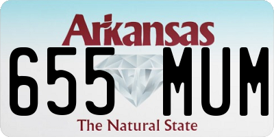 AR license plate 655MUM