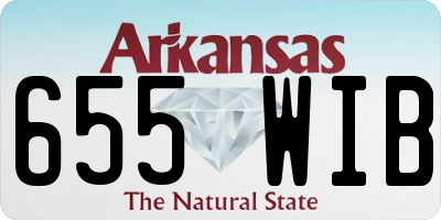 AR license plate 655WIB