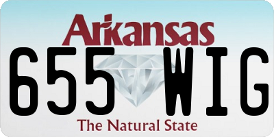 AR license plate 655WIG