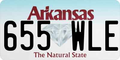 AR license plate 655WLE