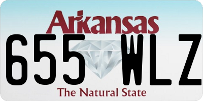 AR license plate 655WLZ