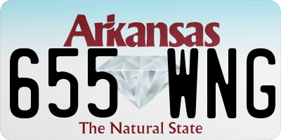 AR license plate 655WNG