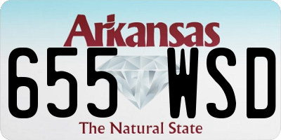 AR license plate 655WSD