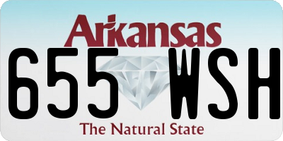 AR license plate 655WSH