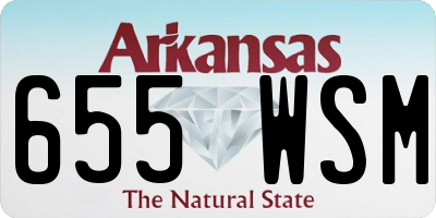 AR license plate 655WSM
