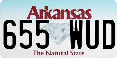 AR license plate 655WUD
