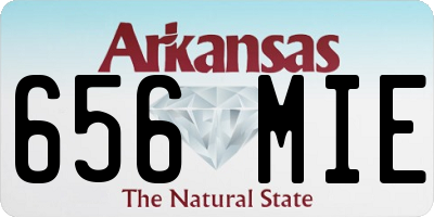 AR license plate 656MIE