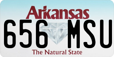 AR license plate 656MSU