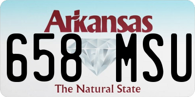 AR license plate 658MSU