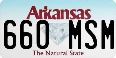 AR license plate 660MSM