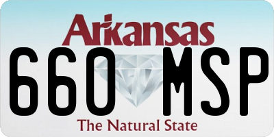 AR license plate 660MSP
