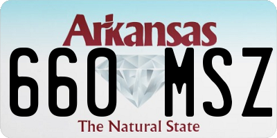AR license plate 660MSZ