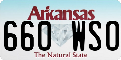 AR license plate 660WSO