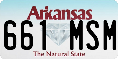 AR license plate 661MSM