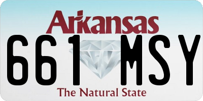 AR license plate 661MSY