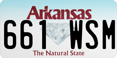 AR license plate 661WSM