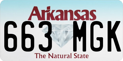 AR license plate 663MGK