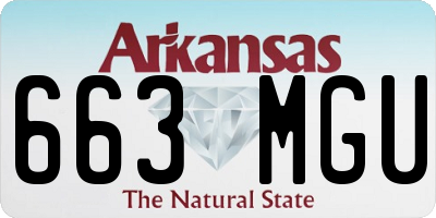 AR license plate 663MGU