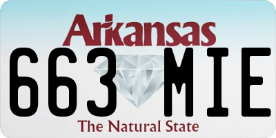 AR license plate 663MIE