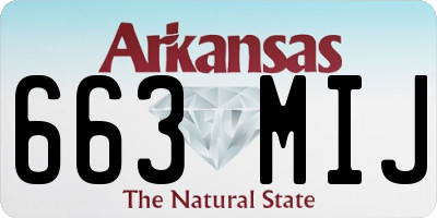 AR license plate 663MIJ