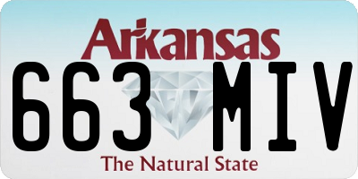 AR license plate 663MIV