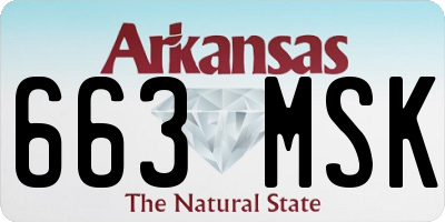 AR license plate 663MSK