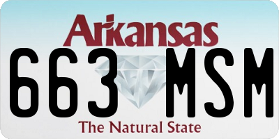 AR license plate 663MSM