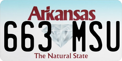 AR license plate 663MSU