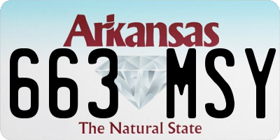 AR license plate 663MSY