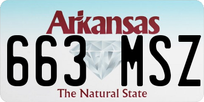 AR license plate 663MSZ