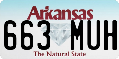 AR license plate 663MUH
