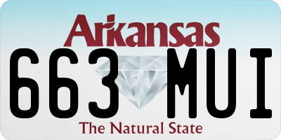 AR license plate 663MUI