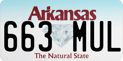 AR license plate 663MUL